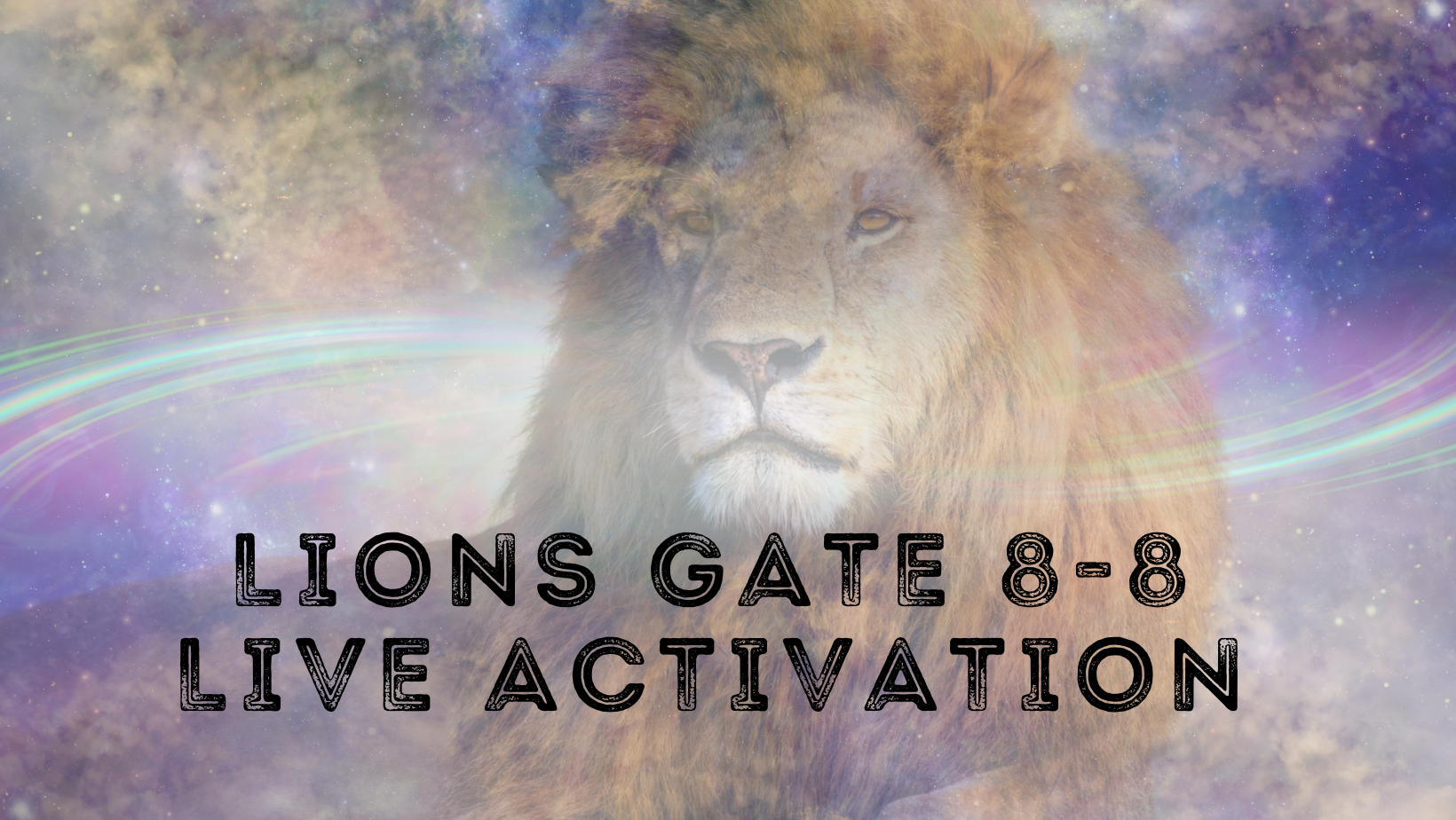LIONS GATE 8-8 LIVE ACTIVATION