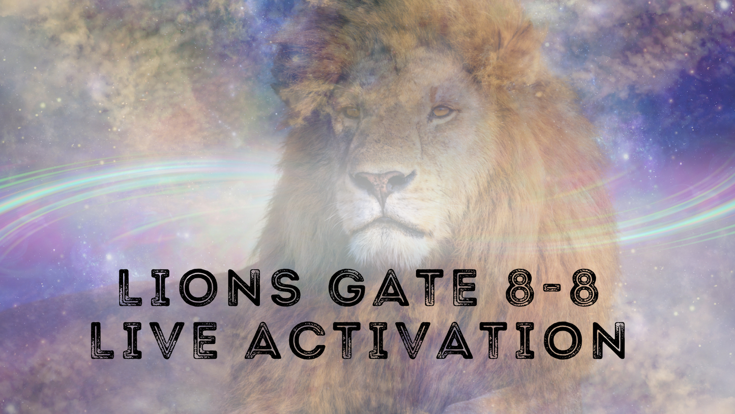 LIONS GATE 8-8 LIVE ACTIVATION